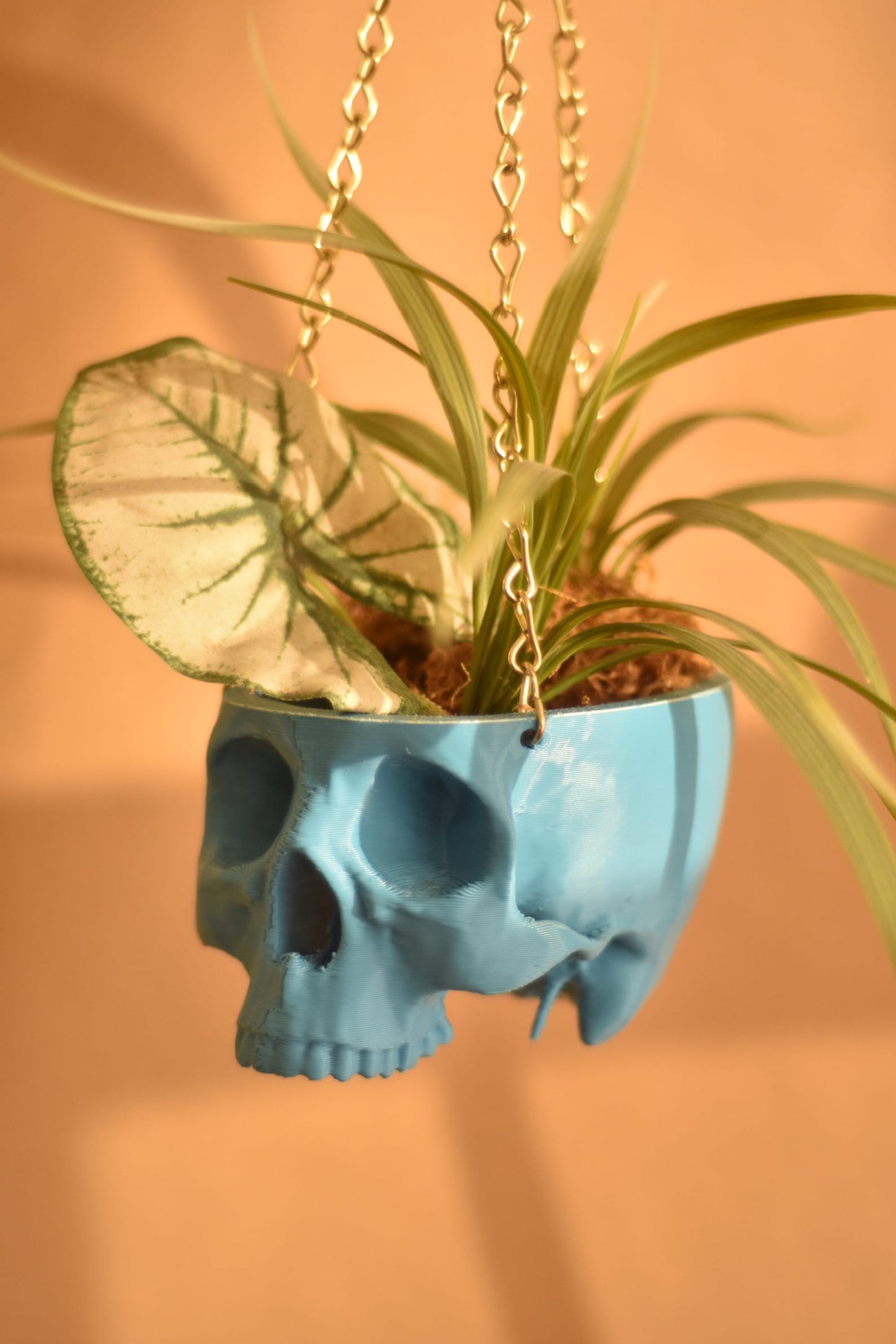 Hanging Planter Skull