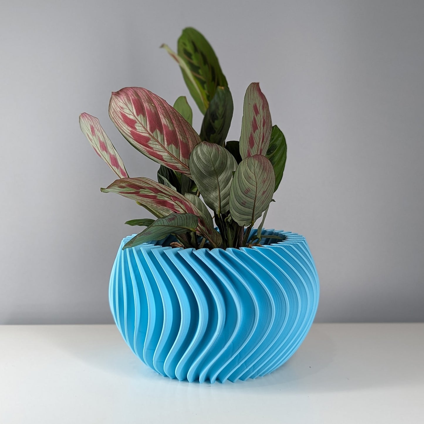 Curved Planter Pot