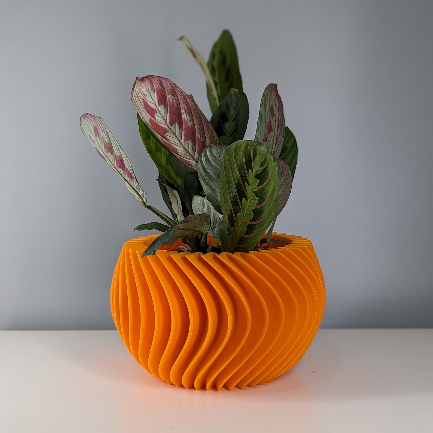 Curved Planter Pot