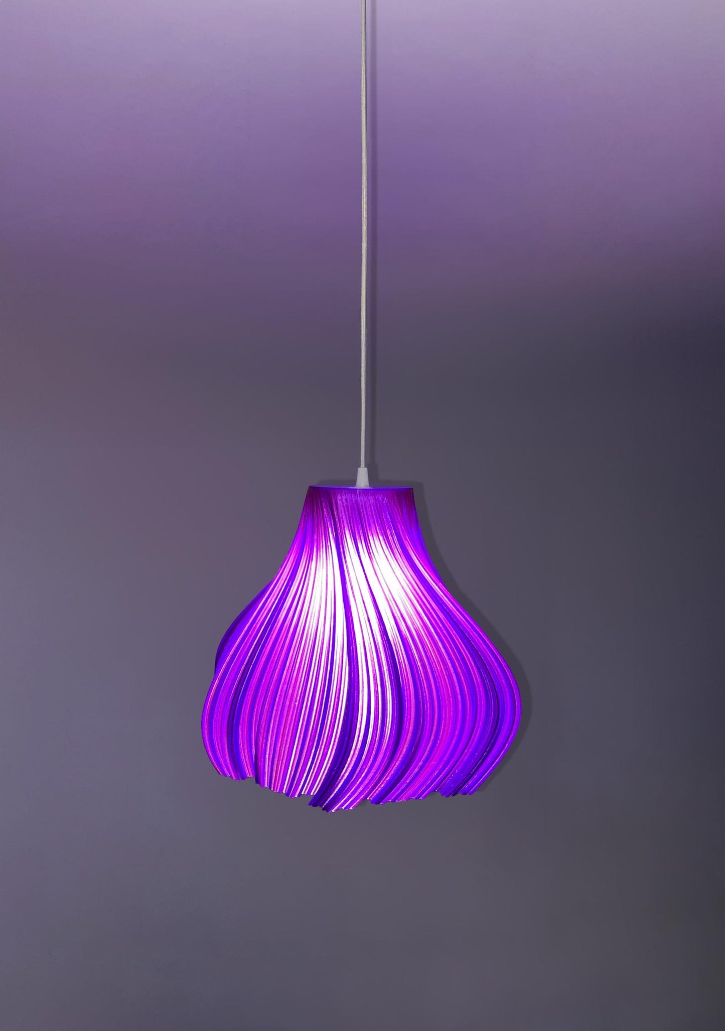 Modern Pendant Lamp