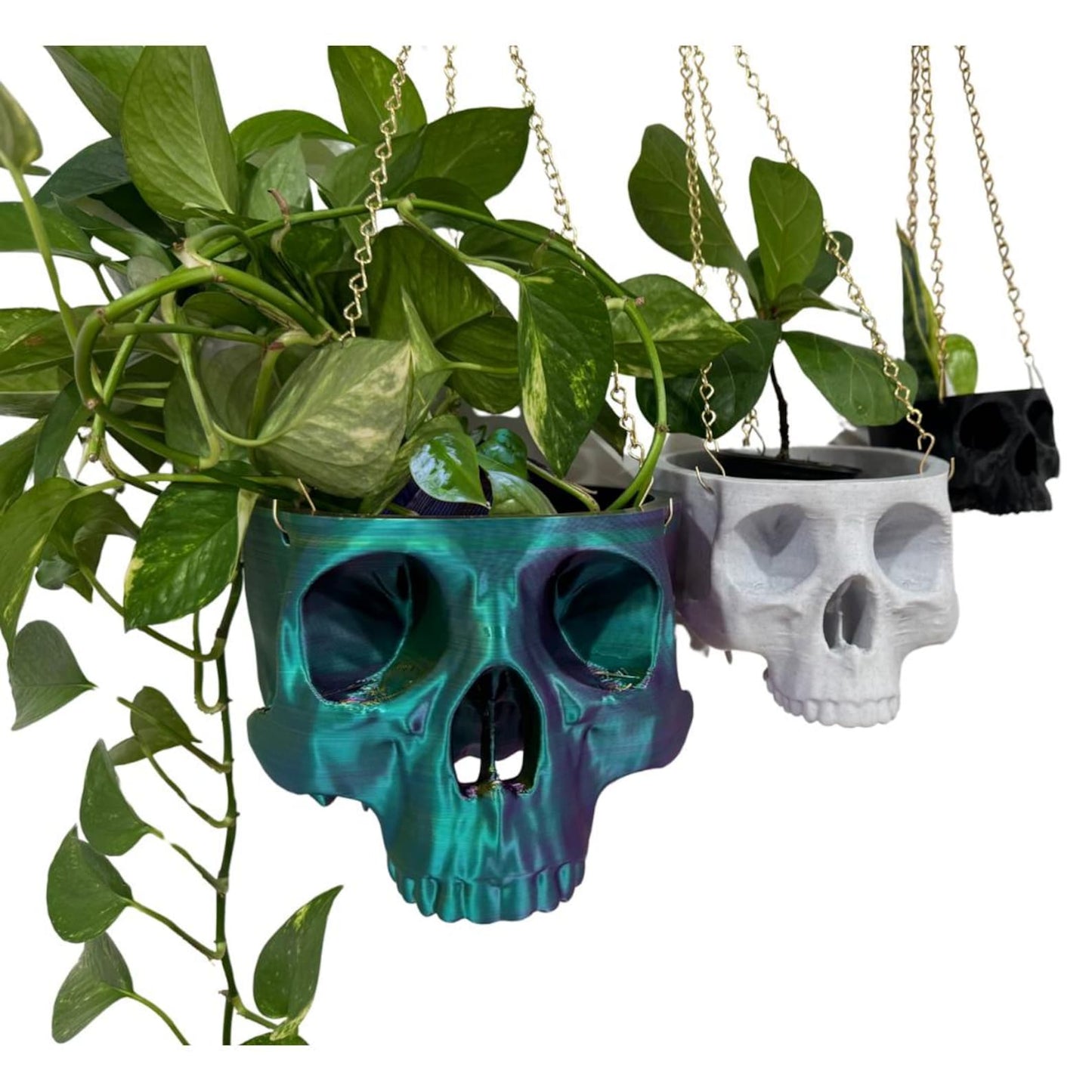 Hanging Planter Skull