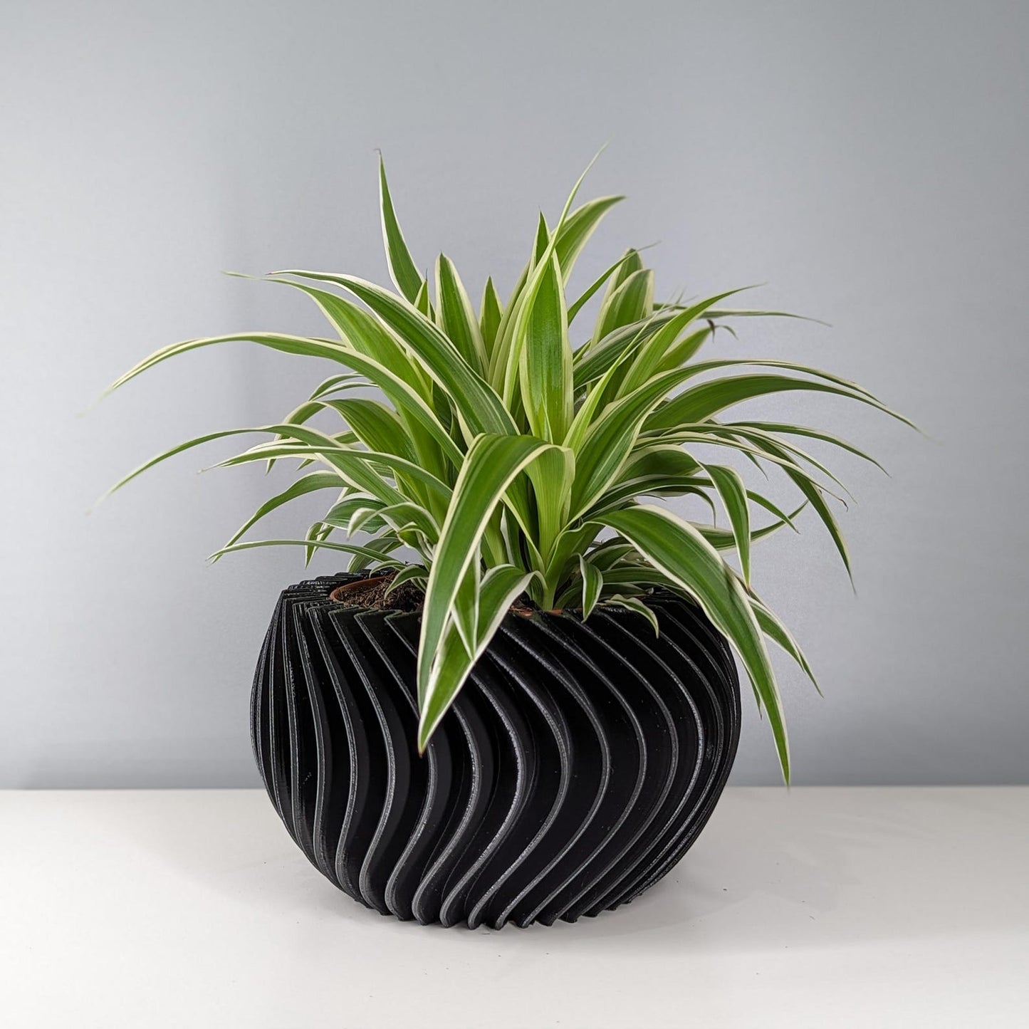 Curved Planter Pot