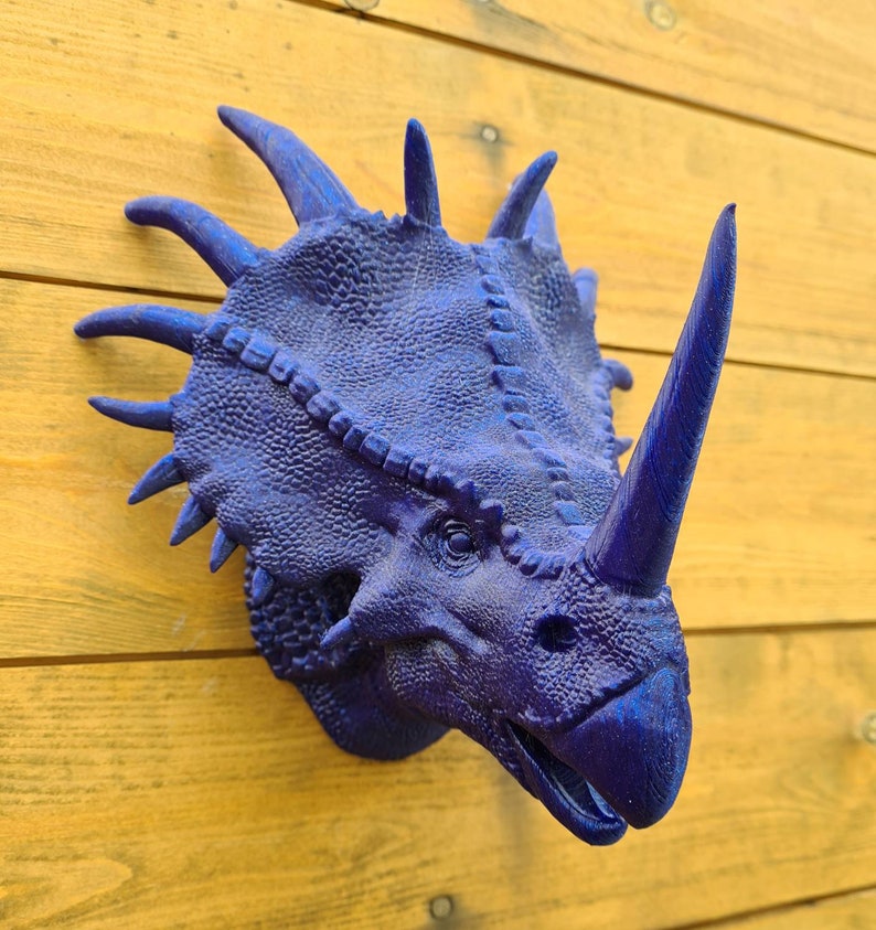 Styracosaurus Wall Art