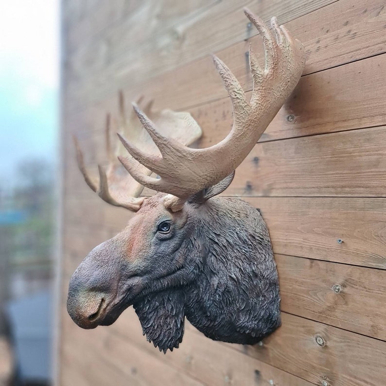 Moose head Wall Art