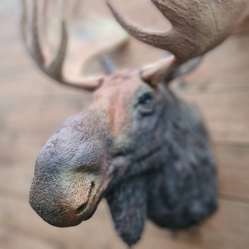 Moose head Wall Art