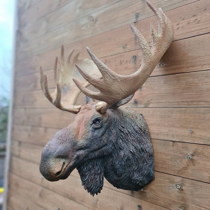 Moose head Wall Art