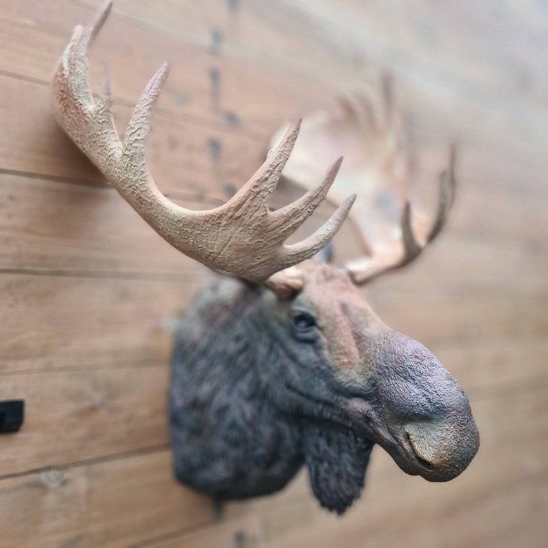 Moose head Wall Art