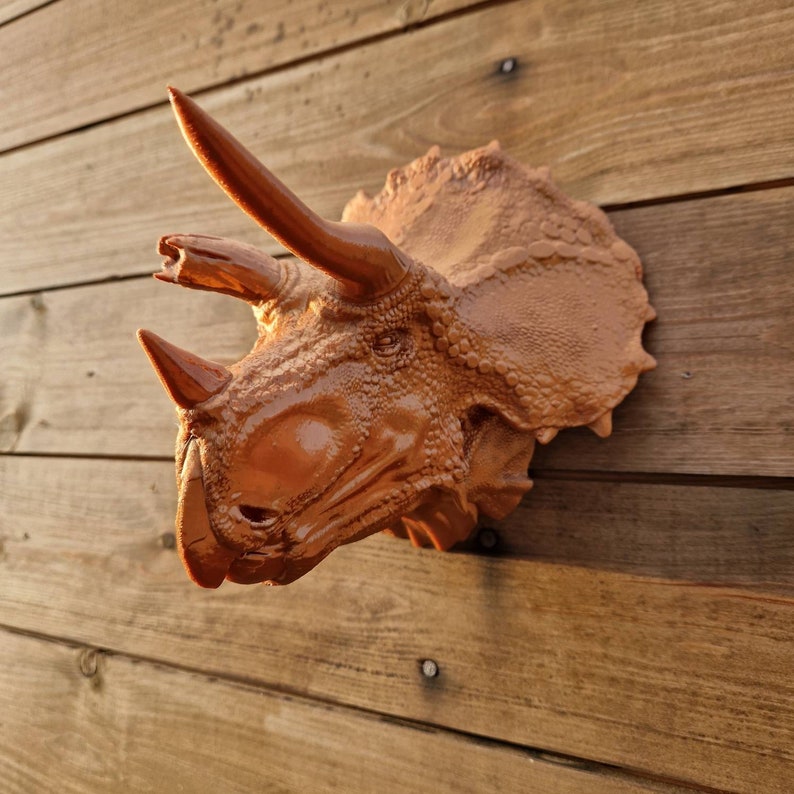 Bull Triceratops Wall Art