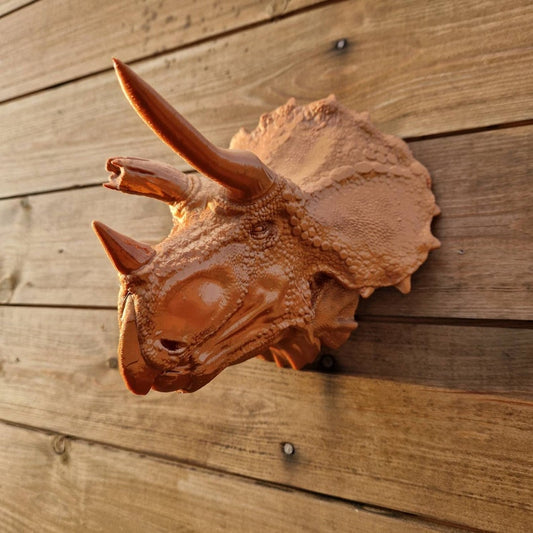 Bull Triceratops Wall Art