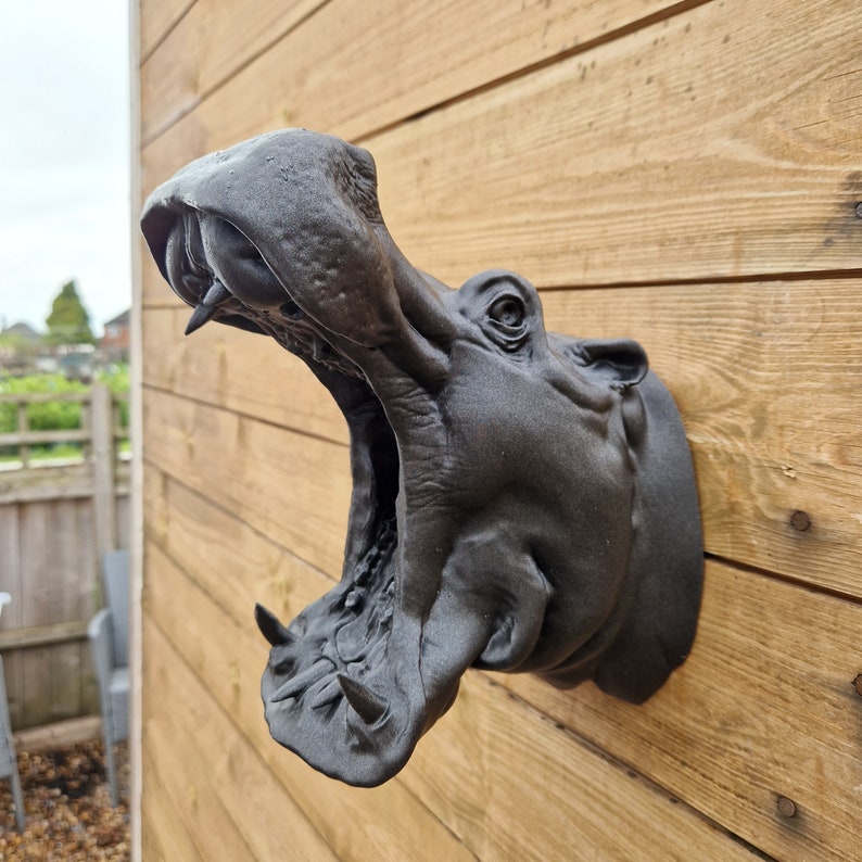 Hippo Wall Art