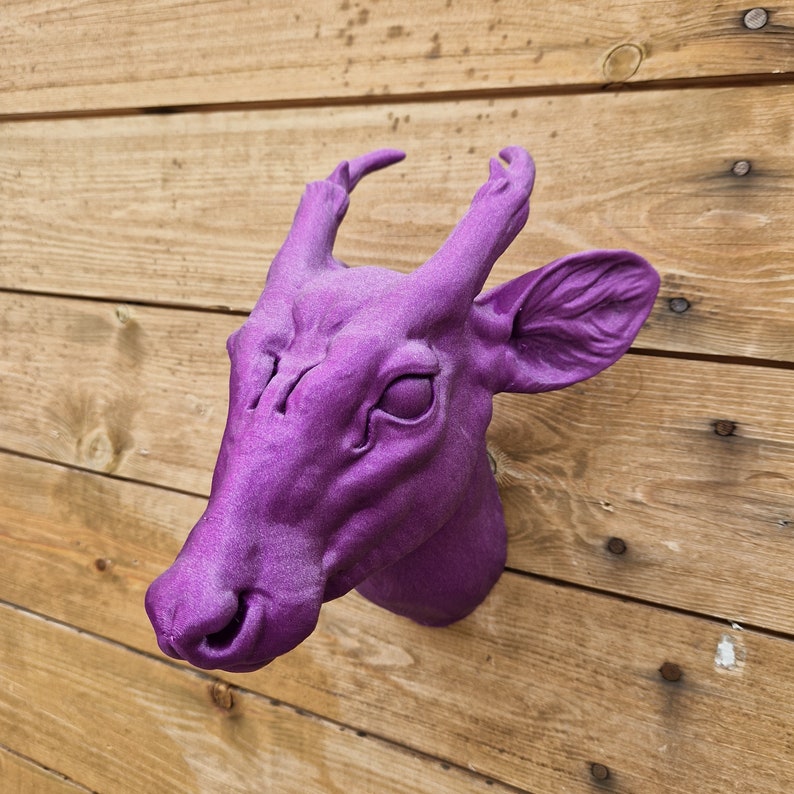 Muntjac Deer Wall Art