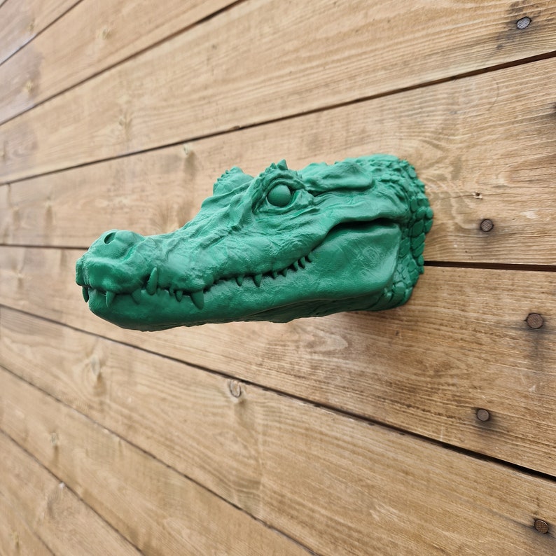 Croc Wall Art