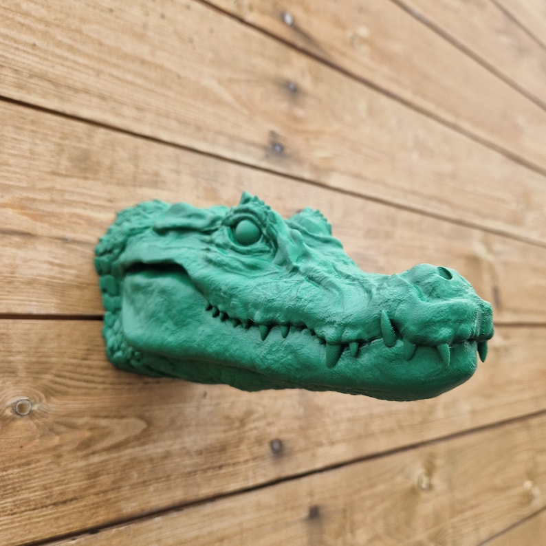 Croc Wall Art