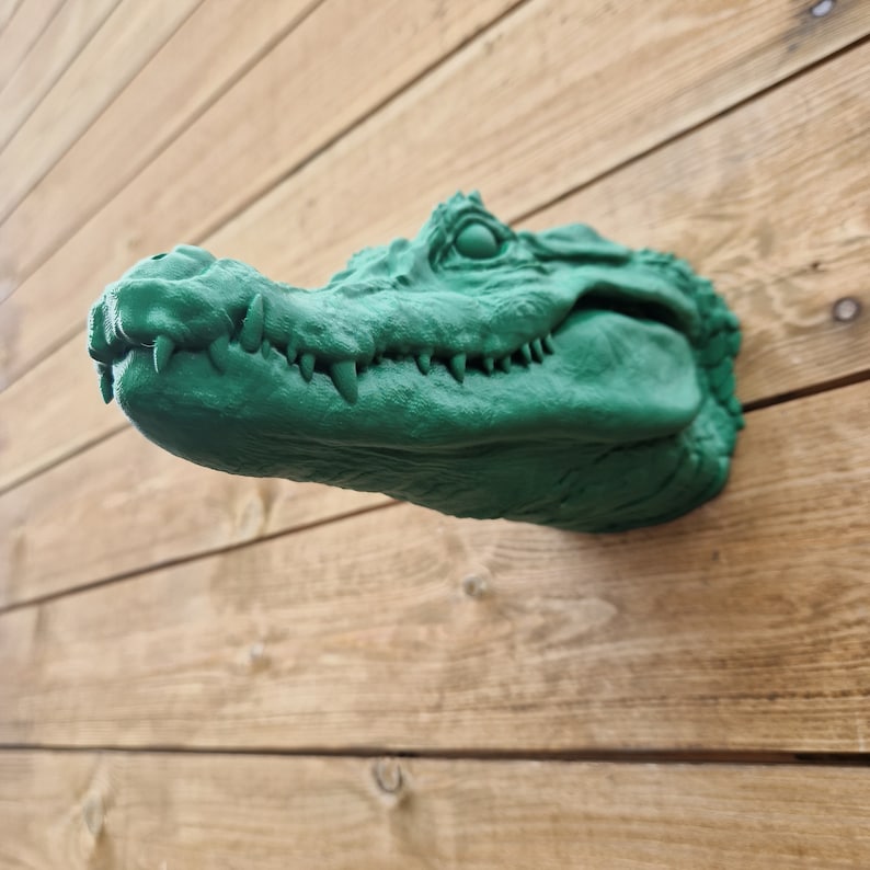 Croc Wall Art