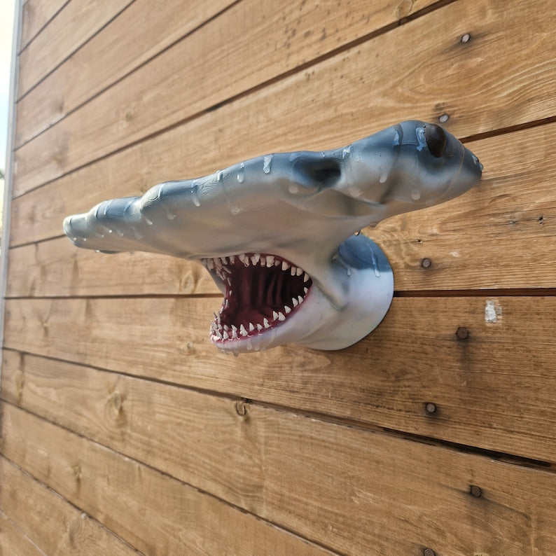 Hammerhead Shark Wall Art