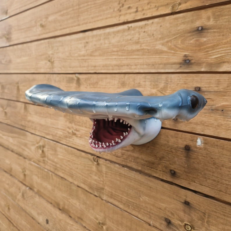 Hammerhead Shark Wall Art