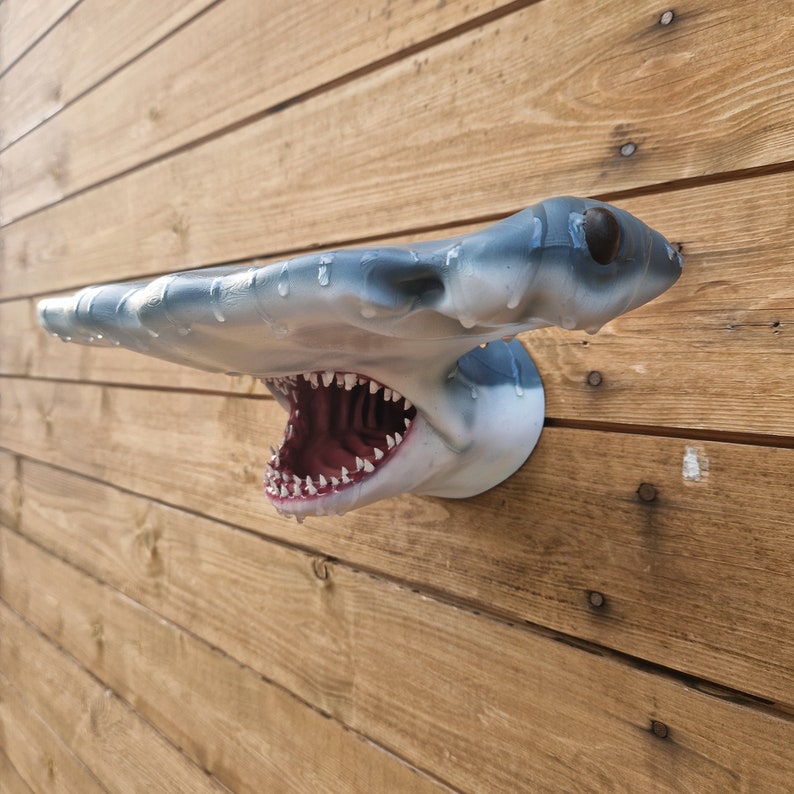 Hammerhead Shark Wall Art