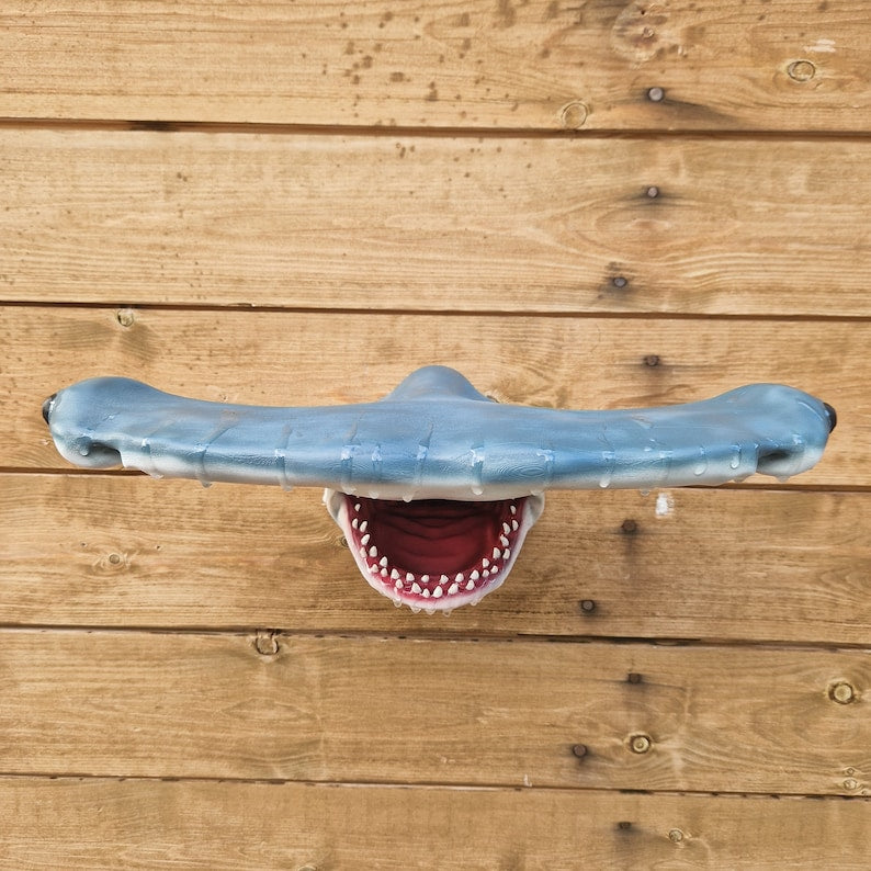 Hammerhead Shark Wall Art