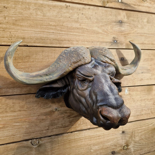 Cape Buffalo Wall Art airbrushed and painted