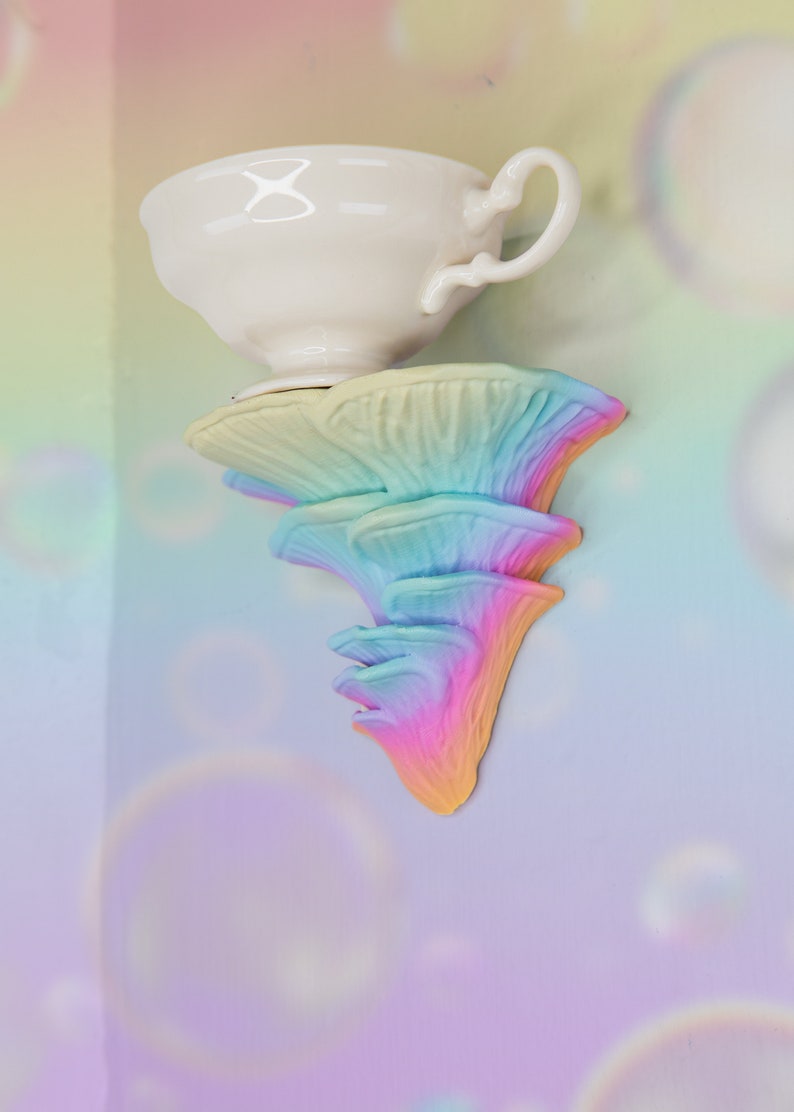 Rainbow Mushroom Wall Shelf