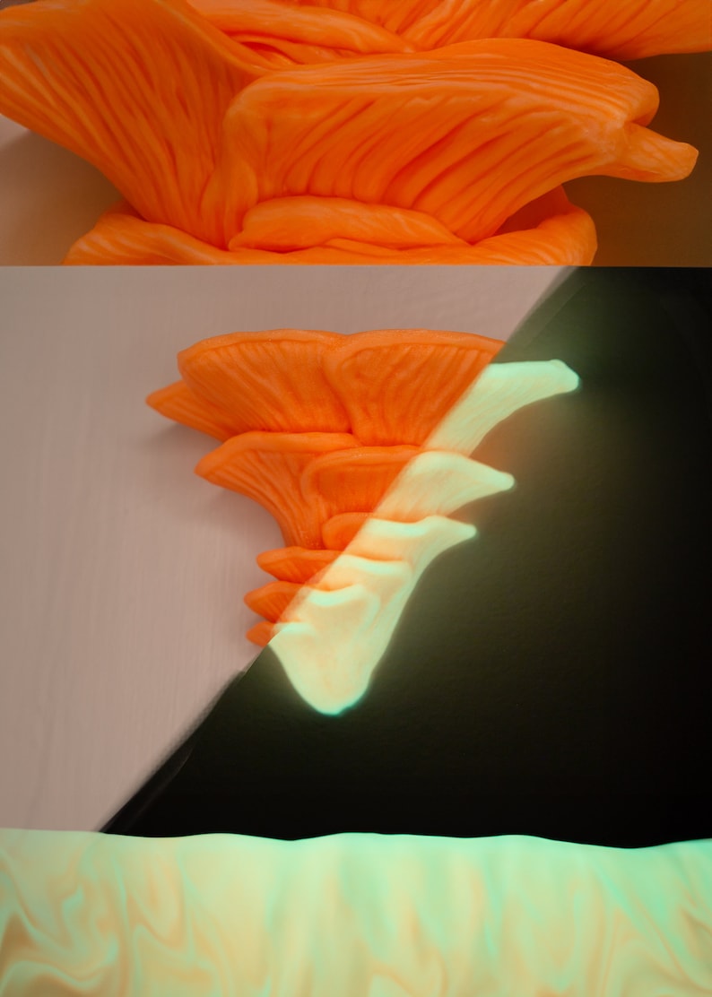 Wavy Mushroom Wall Shelf