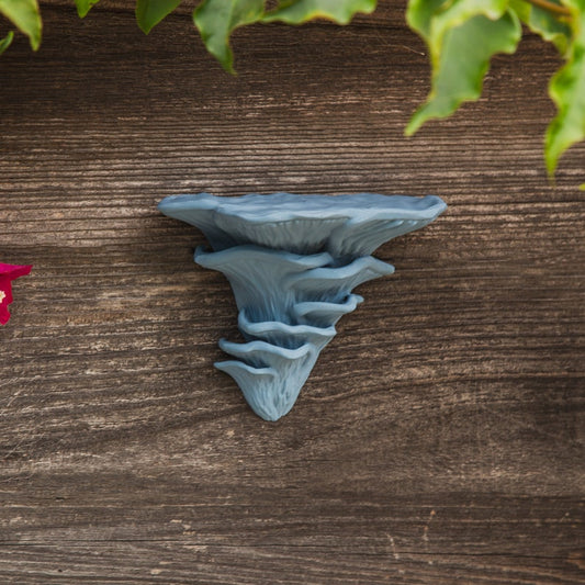 Wavy Mushroom Wall Shelf