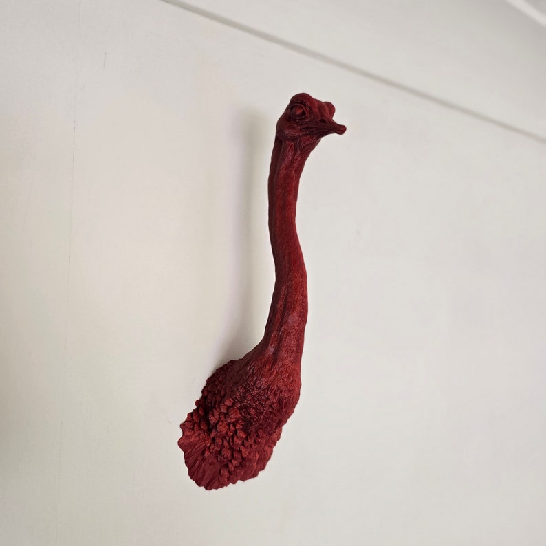 Ostrich Wall Art